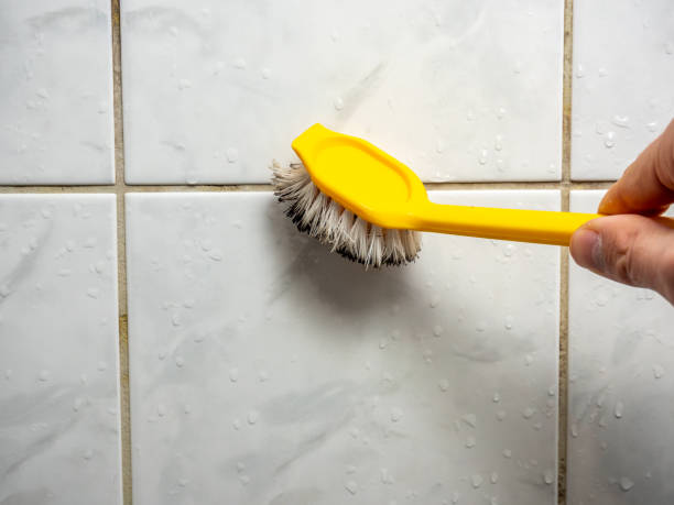 Best Professional Mold Removal  in , CO