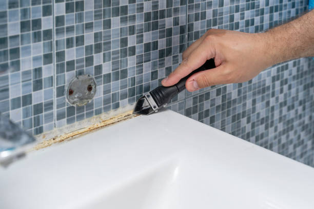 Best Mold Damage Repair  in , CO